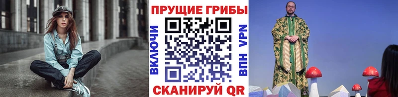 shop телеграм  Сосенский  Псилоцибиновые грибы Psilocybe 